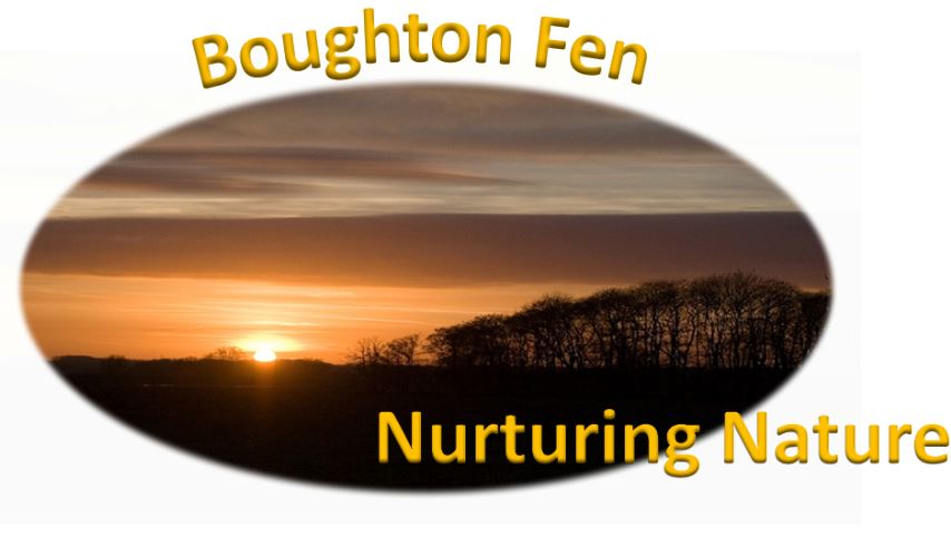 Boughton Fen Committee